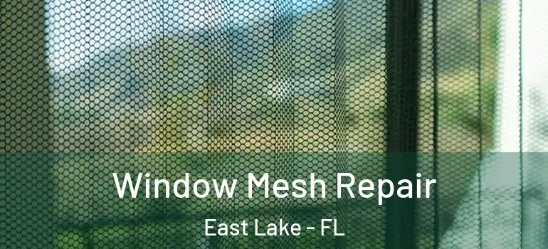  Window Mesh Repair East Lake - FL
