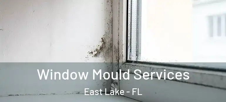  Window Mould Services East Lake - FL