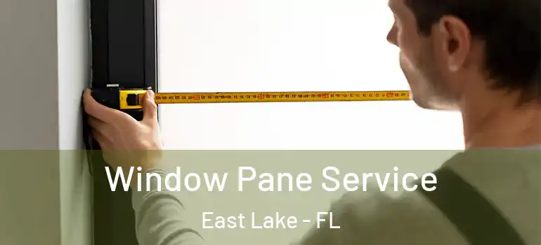  Window Pane Service East Lake - FL
