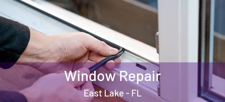  Window Repair East Lake - FL