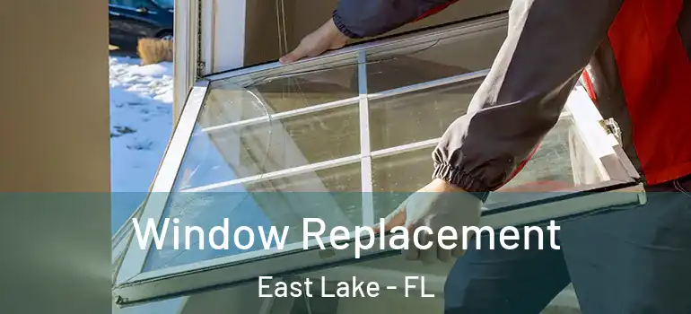  Window Replacement East Lake - FL