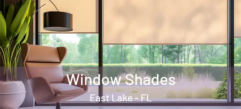  Window Shades East Lake - FL