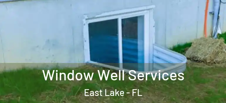  Window Well Services East Lake - FL